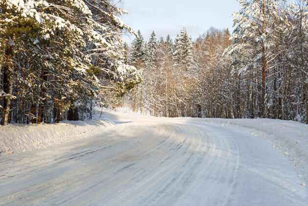 深度冬天的路在冰雪覆盖的森林景观中自然冰危险