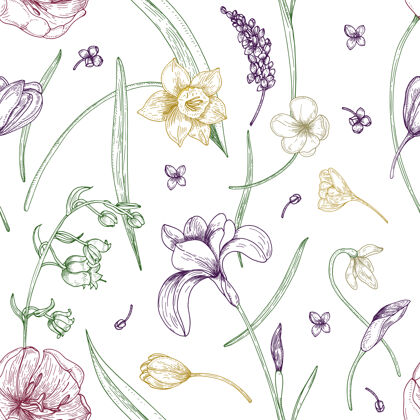 纺织优雅的无缝图案 华丽的春花绽放 在白色背景上用轮廓线手工绘制花园复古植物