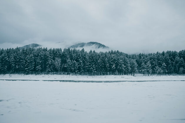 松雪覆盖云杉和松树在山脚下的霜雾植物山河冬日