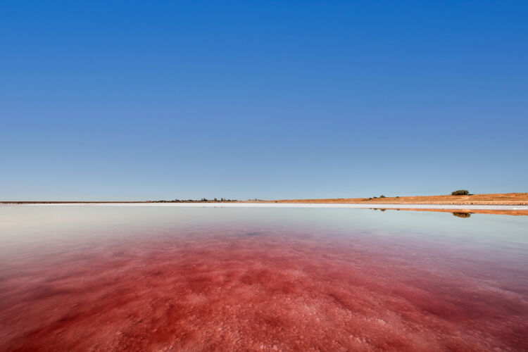 湖粉红色的湖泊和沙滩 蓝天白云下有一个海湾沙滩空中沙滩