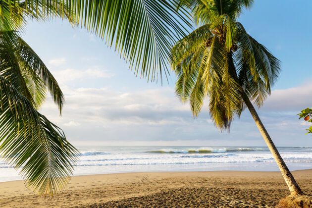中美洲哥斯达黎加美丽的热带太平洋海岸太平洋沙滩加勒比海