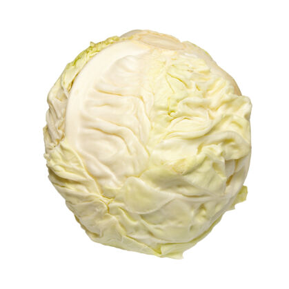 食物蔬菜白白菜隔离上白形状原料蔬菜