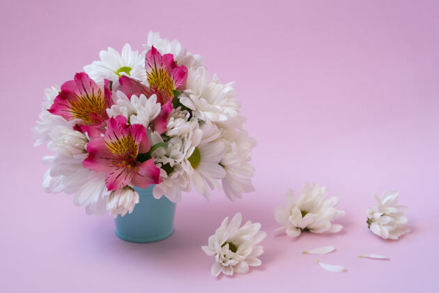 精致一束白色的菊花和粉红色的假菊花放在粉红色墙上的蓝色桶里优雅自然水桶