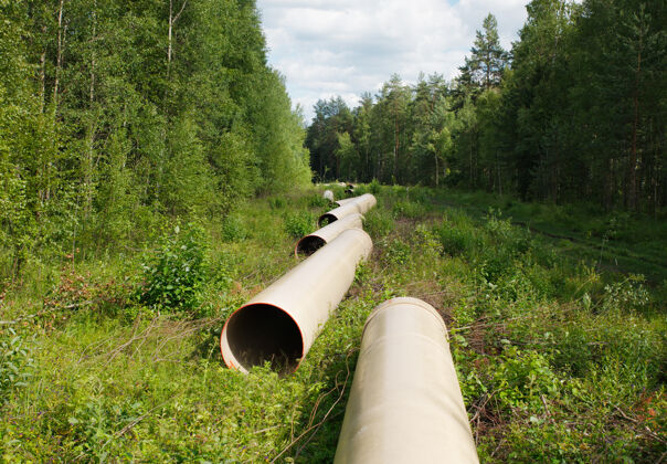 农村穿过绿树的煤气管道线路自然圆筒