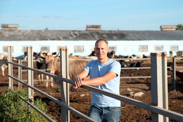 牛仔农夫在农场里和奶牛一起干活牛谷仓工作