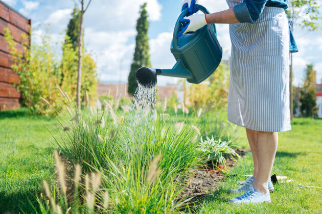 感情穿着围裙的园丁穿着条纹围裙和白色运动鞋的园丁在给花园的床浇水时感到很忙房子园艺农业