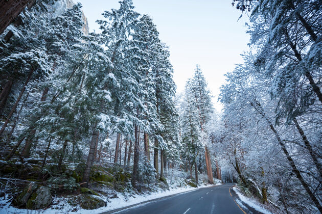 冰冻冬季在约塞米蒂国家公园 加利福尼亚州 美国寒冷雪山谷