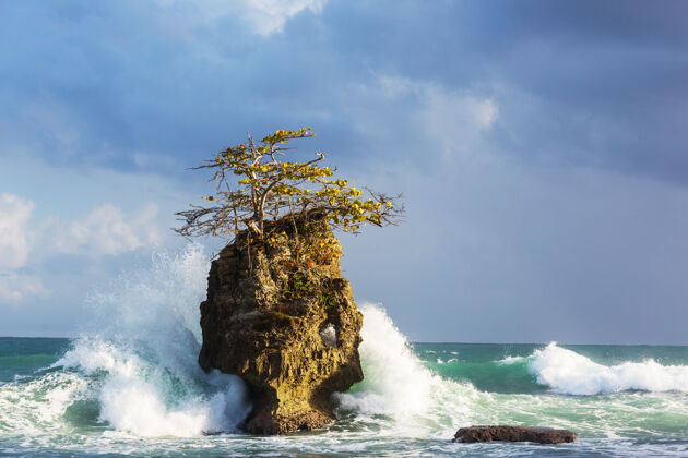 热带哥斯达黎加美丽的热带太平洋海岸天堂美国海滩