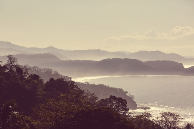 天堂哥斯达黎加美丽的热带太平洋海岸树阳光明媚风景
