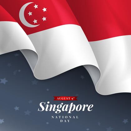 爱国逼真的新加坡国庆插画庆祝事件自由