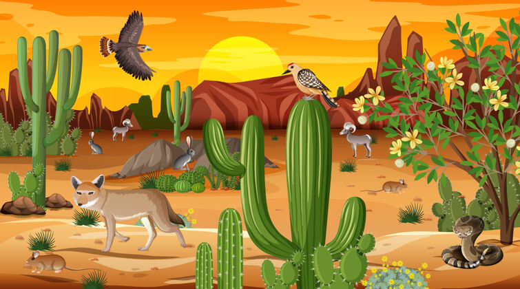 太阳沙漠森林景观在日落时分与野生动物的景色风景山松鼠