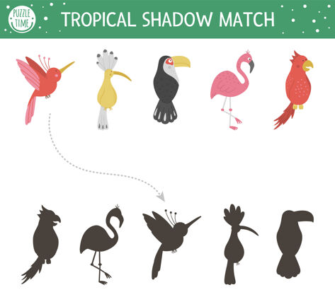 消遣热带阴影匹配活动儿童.幼儿园丛林拼图可爱异域教育谜语.发现正确的鸟类轮廓可打印工作表发现鸟谜语