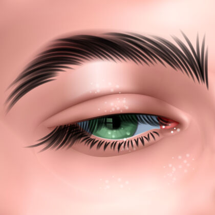 成年人美丽的绿色长睫毛女人的眼睛女人眼睛绿眼睛