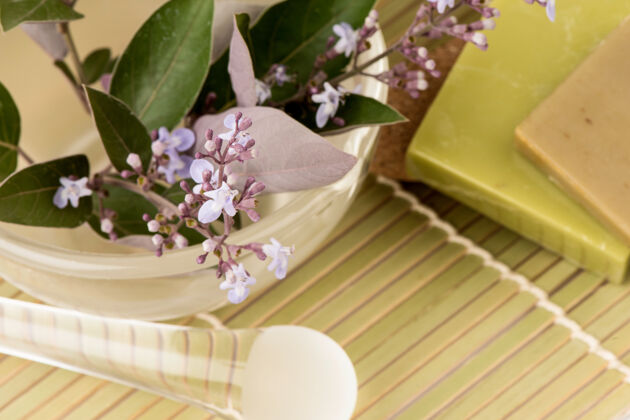 叶子紫荆花 绿叶和提取液用于制造白色隔离皂生的香水泰国