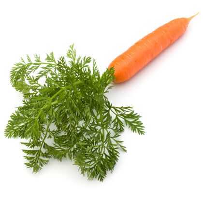 配料胡萝卜蔬菜与叶子隔离在白色背景剪纸单立场新的