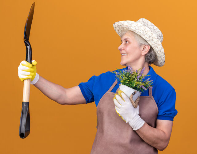 园艺微笑着的上了年纪的女园丁戴着园艺帽和手套拿着花盆看着铁锹花盆戴手套