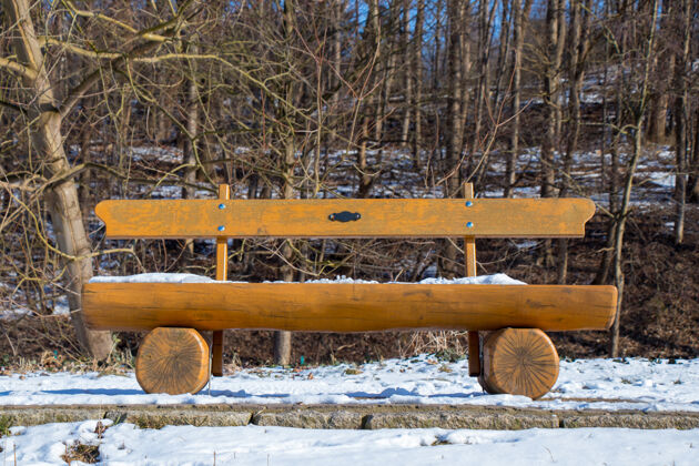 下雪在一个阳光明媚的冬日里 公园里的木凳被雪覆盖着冰乡村长凳