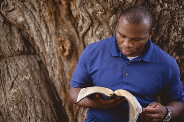 非裔美国人一个非洲裔美国人拿着一棵树读圣经的特写镜头树美国人圣经