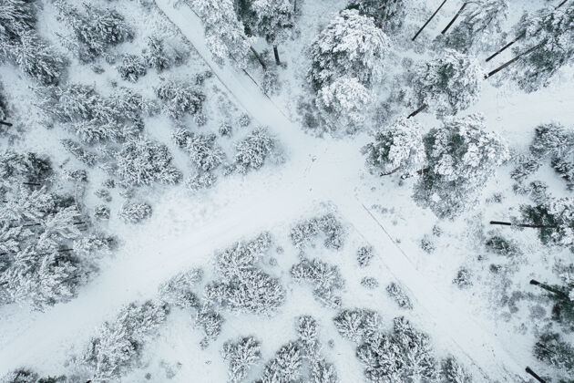木头空中拍摄的一条道路被迷人的冰雪覆盖的森林包围冬天景观自然