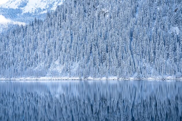 风景美丽的风景拍摄雪白的树木附近一个明确的蓝色湖泊山森林魔法