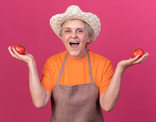 园艺快乐的上了年纪的女园丁戴着园艺帽拿着西红柿粉红老人快乐