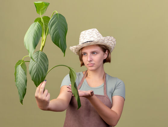 斯拉夫笨手笨脚的年轻斯拉夫女园丁戴着园艺帽拿着并指着植物指着橄榄年轻
