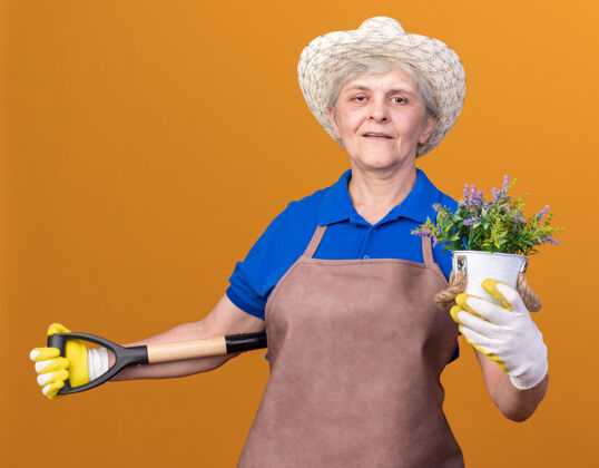 帽子高兴的上了年纪的女园丁戴着园艺帽和手套 背着花盆和铁锹橘子园艺请戴