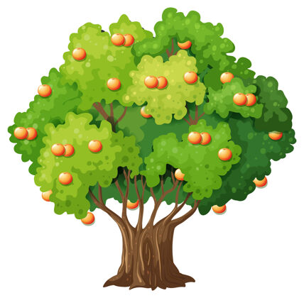 天气白色卡通风格的橙色果树水果花园木材