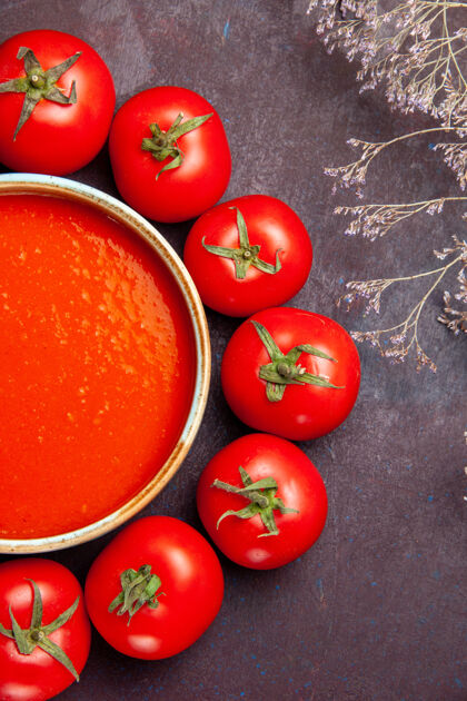 蔬菜俯瞰美味的西红柿汤 用新鲜的红色西红柿圈在深色的背景上 西红柿汤一碟酱汁顶香草李子西红柿