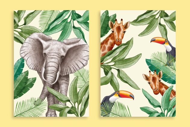 商业手绘水彩画野生动物封面收藏封面收藏封面套装商业模板