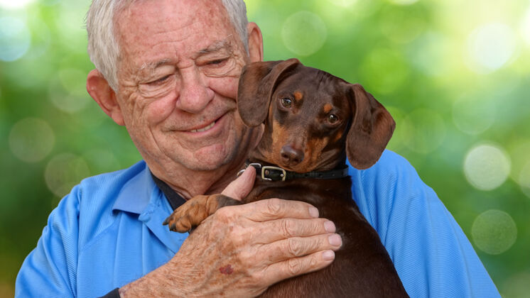 香肠浅浅的焦点是一个高加索老人抱着一只可爱的腊肠狗可爱模糊博克