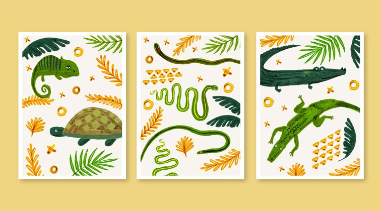 彩色手绘水彩画野生动物封面龟包装爬行动物
