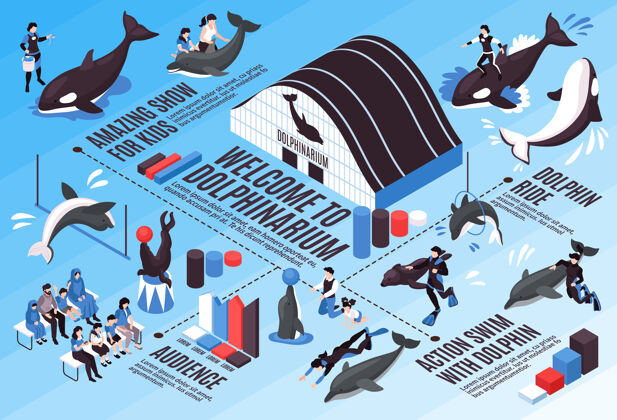 动作海豚馆等轴测信息图方案与惊人的表演观众海豚骑行动与海豚元素游泳惊人等轴测元素