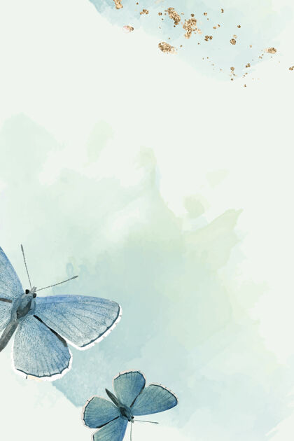飞蛾背景是蓝蝴蝶闪光闪亮自然