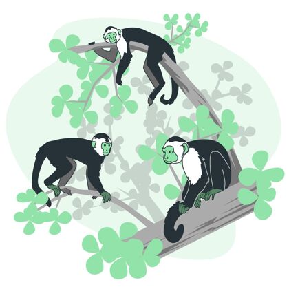 金钱猴子概念图攀岩雨林丛林