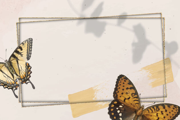 美丽蝴蝶图案背景金框蝴蝶动物野生动物