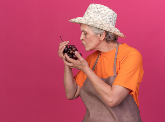 葡萄高兴的上了年纪的女园丁戴着园艺帽捧着并假装亲吻粉红色的一串葡萄花园假装园艺