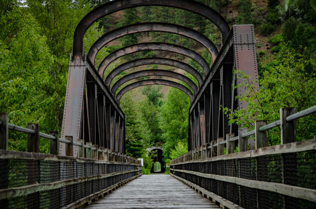 树公园里一座桥的特写镜头旅游道路步行