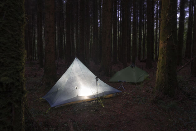 树干两个露营帐篷安装在树林中间木材草夏天