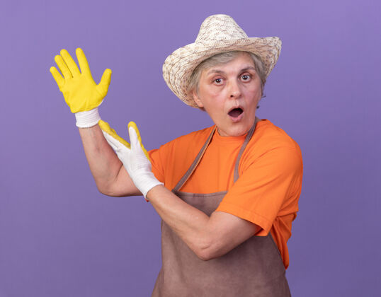指向惊讶的上了年纪的女园丁戴着园艺帽和手套 两手指着旁边的紫色老人惊喜女