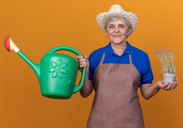 女微笑的上了年纪的女园丁戴着园艺帽拿着浇水罐和桔子上的花盆园艺老人花盆