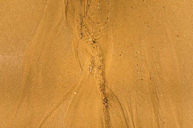 背景特写与潮汐的方式和沙滩上的贝壳全框架纹理背景沙自然脏沙