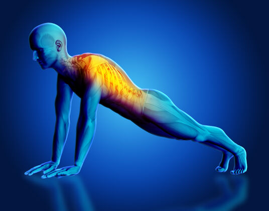 姿势以瑜伽姿势突出显示脊柱的男性医学人物的3d渲染运动3d医学图形自然