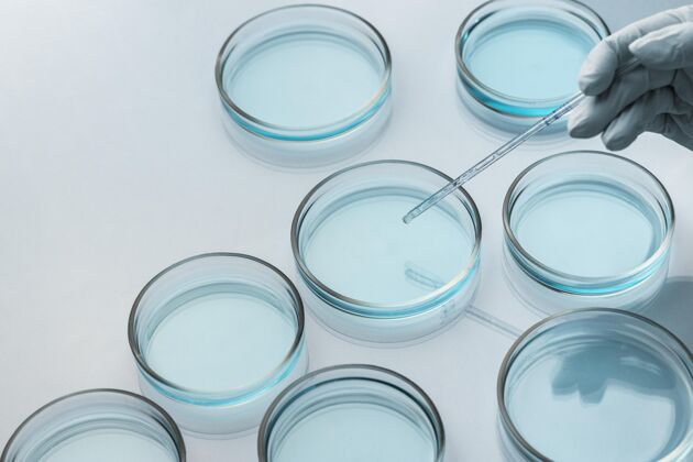 感染带滴管的实验室培养皿症状实验室冠状病毒检测