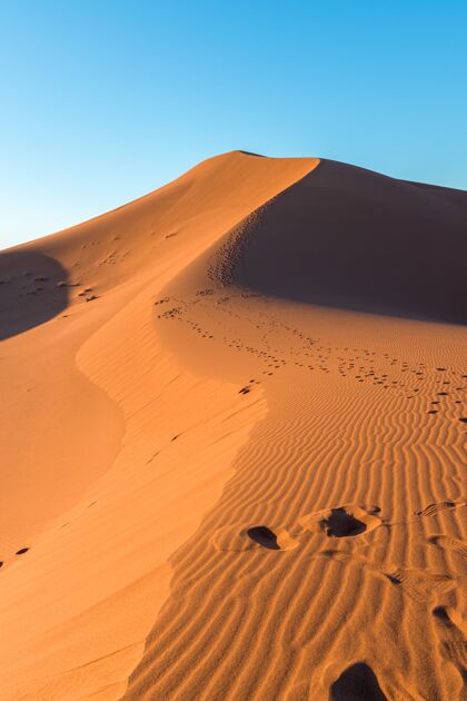 炎热特写的沙波和沙丘上的痕迹在沙漠对晴朗的蓝天沙子沙漠干旱
