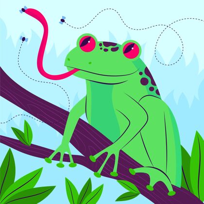 动物有机平面青蛙插图野生动物自然平面设计