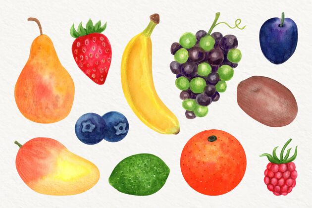 水果收藏手绘水彩画水果系列分类营养美味