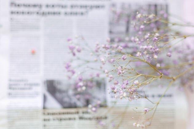 干燥报纸表面的干花 选择性聚焦 春意盎然作物开花粉彩