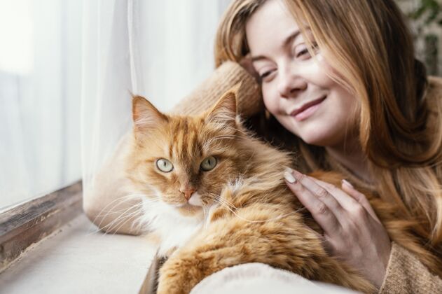 猫用可爱的猫接近女人女人责任在家