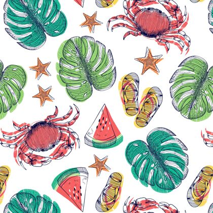 螃蟹手工绘制的夏季热带叶背景与西瓜彩色夏天夏天
